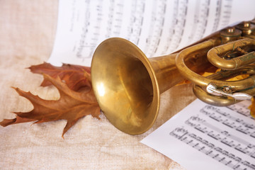 Musical notes and trumpet.