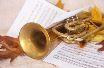 Naklejka premium Musical notes and trumpet.