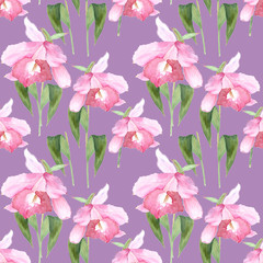 Pink orchid, cattleya on purple background. Seamless watercolor pattern