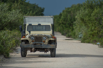 Jeep Willys