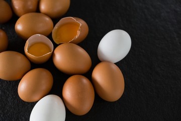 Eggs on black background