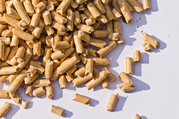 pellet4
