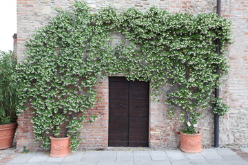 Fototapeta na wymiar An old door in a tipical italian square