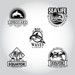 Set vintage badge with dolphin drawn by hand. Vector illustration, template graphic design fashion apparel print logos emblems labels for beach bars, restaurants, cafe, resort, rescue and sport team © magicpics1806