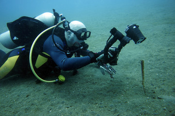 Unterwasserfotograf fotografiert eine Seefeder