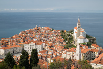 Fototapeta premium Piran is a city on Adriatica sea. The view from on top of the red tiled roofs of the houses.