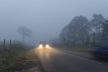 Country asphalt road passing through the forest and fields in the region of Normandy, France. Rural landscape in foggy day. Car headlights at night. Toned