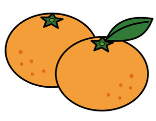 みかん(2個、色、模様)
