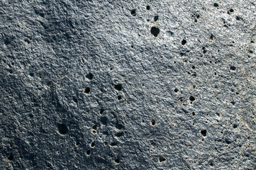 Surface of sea rock with dried and glued sea algae closeup as natural background