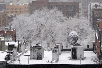 Snow on Rooftop and Trees in New York City