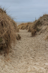 Misty dunes at North-Sea beach of St. Peter-Ording on a winter day in February