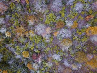 fall season, Autumn comes, Smoky Mountains National Park near Asheville, colorful, north carolina, USA