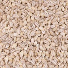 barley on a white table	