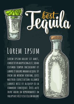 Vertical poster with glass and bottle tequila. Engraving