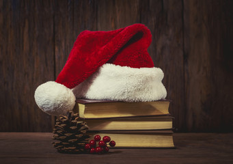 Obraz na płótnie Canvas A Santa Claus hat on books, a juicy viburnum and a bumpkin