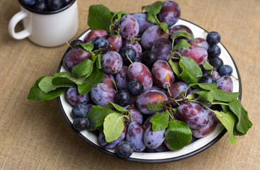 Fresh plums on the bowl and metal mug. Rustic background.