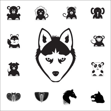 Wolf Head Icon. Set of animal icons. You can use in web or app icons
