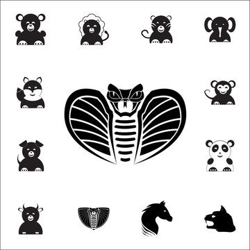 Cobra head icon. Set of animal icons. You can use in web or app icons
