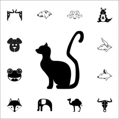 Fototapeta na wymiar black cat silhouette icon. Set of animal icons. You can use in web or app icons