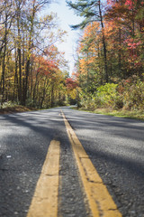 Long paved road surrounded by yellow, orange, and red trees