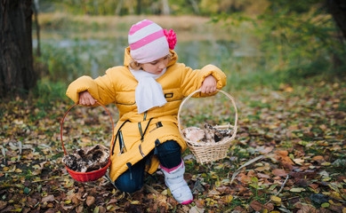 The girl is holding two baskets with mushrooms Lactarius. Parents teach their little daughter to pick mushrooms. Children mushroom pickers.
