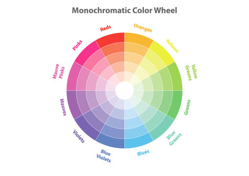 monochromatic color wheel, color scheme theory, vector isolated 