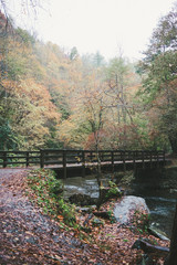 Obraz na płótnie Canvas Bridge over Deep Creek in Smoky Mountains National Park, North Carolina
