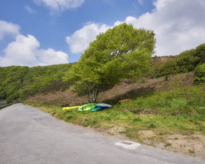 Loch Hyne Kayaks