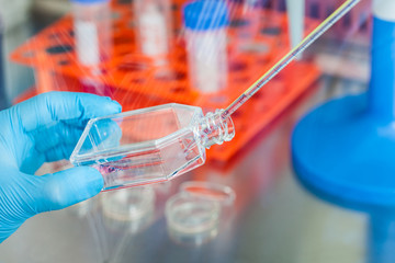 Scientist working with a cell culture flask under sterile hood at laboratory