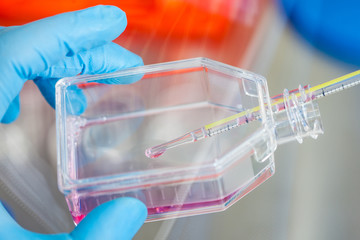 Scientist working with a cell culture flask under sterile hood at laboratory