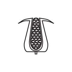 Vector Corn Vegetable icon. Farm vegetables element. Premium quality graphic design. Signs, outline symbols collection, simple thin line icon for websides, web design, mobile app, infographics