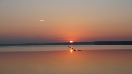 Sunrise Ft Bird