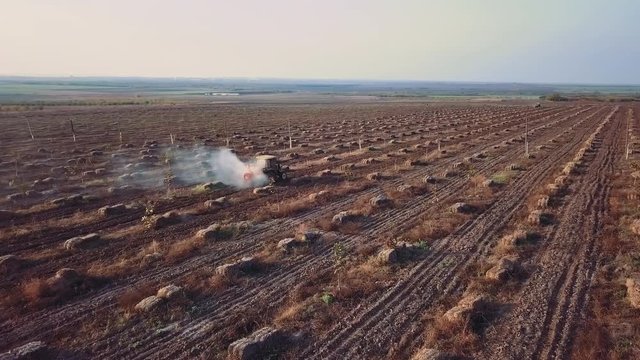 Aerial tractor sprinkles chemical fertilizers on the field of walnut and hazelnut farm back view1