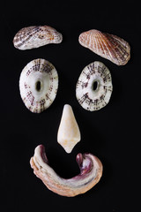 Sea shell faces