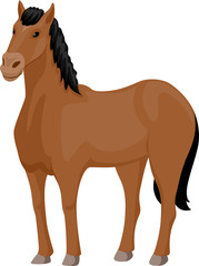 Fototapeta na wymiar Horse Illustration