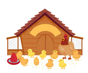 Poultry Chicken Chicks Illustration