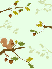 Squirrel Acorn Background