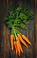 Fresh Organic Carrots on wooden background