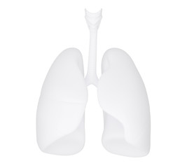 3d human lung