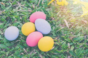 Top view of easter eggs on green grass. Holidays concept.