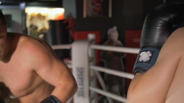 Boxers are in the ring. Professional boxers.