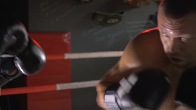 Boxers are in the ring. Professional boxers.