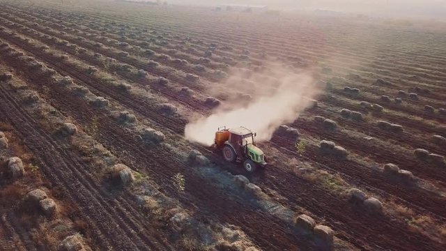 The air tractor sprinkles chemical fertilizers on the field of walnut and hazelnut farm. sunset