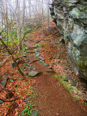 Whiteoak Canyon Trail Virginia