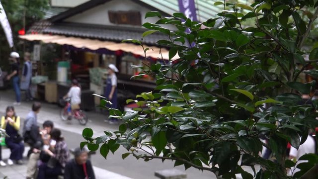 東京　深大寺　参道の雑踏 - video 4K UHD 3