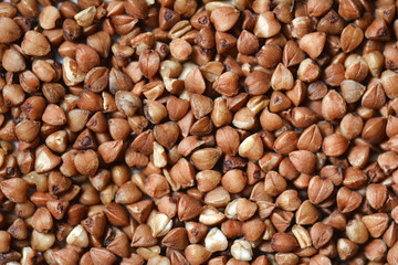 Buckwheat background