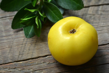 Yellow apple on a wooden surface
