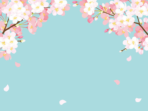 桜 の画像 7 650 665 件の Stock 写真 ベクターおよびビデオ Adobe Stock