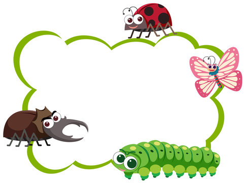 Border template with four types of insects