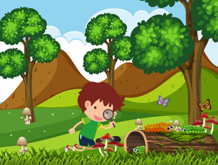 Fototapeta premium Boy looking at bugs in the park at daytime